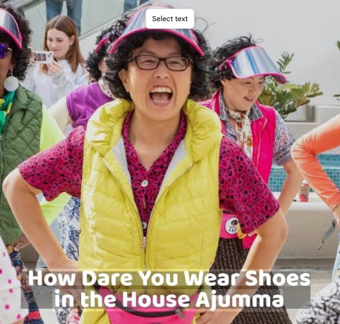 An angry looking Ajumma in a akimbo pose, wearing colourful clothes in front of a camera. A text says "How dare you wear shoes in the house Ajumma".